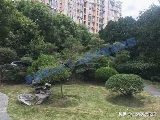 爱建园小区最好的楼盘,上海碧云爱建园复式