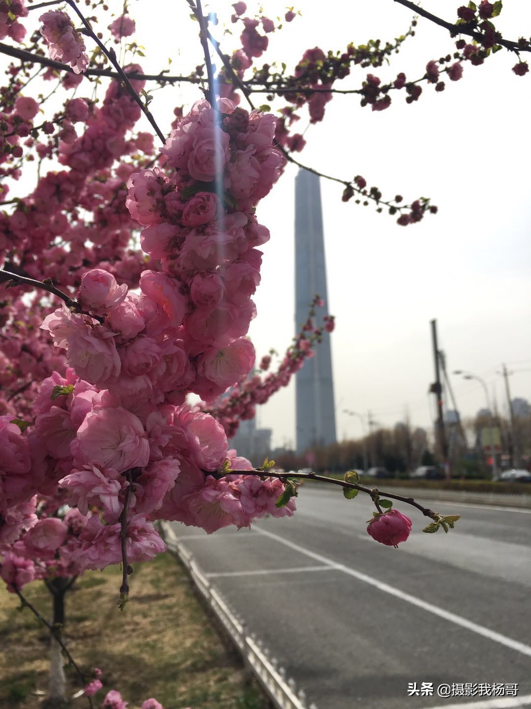 天津最高楼117大厦的位置,天津117层大厦最新消息