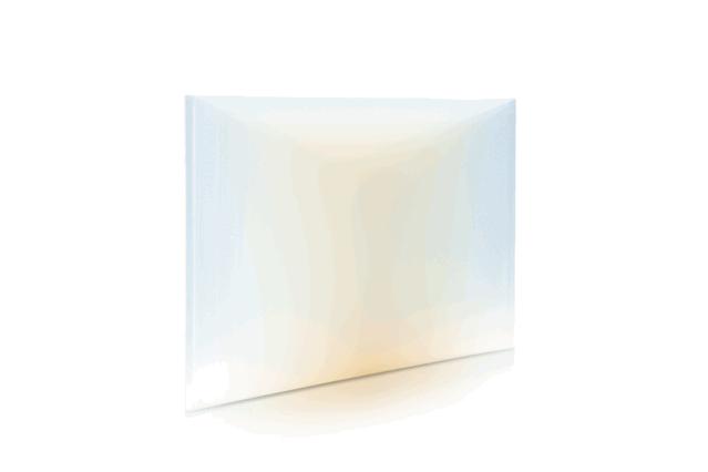 AIM优选|入围LOEWE罗意威基金会工艺奖的中国手艺人