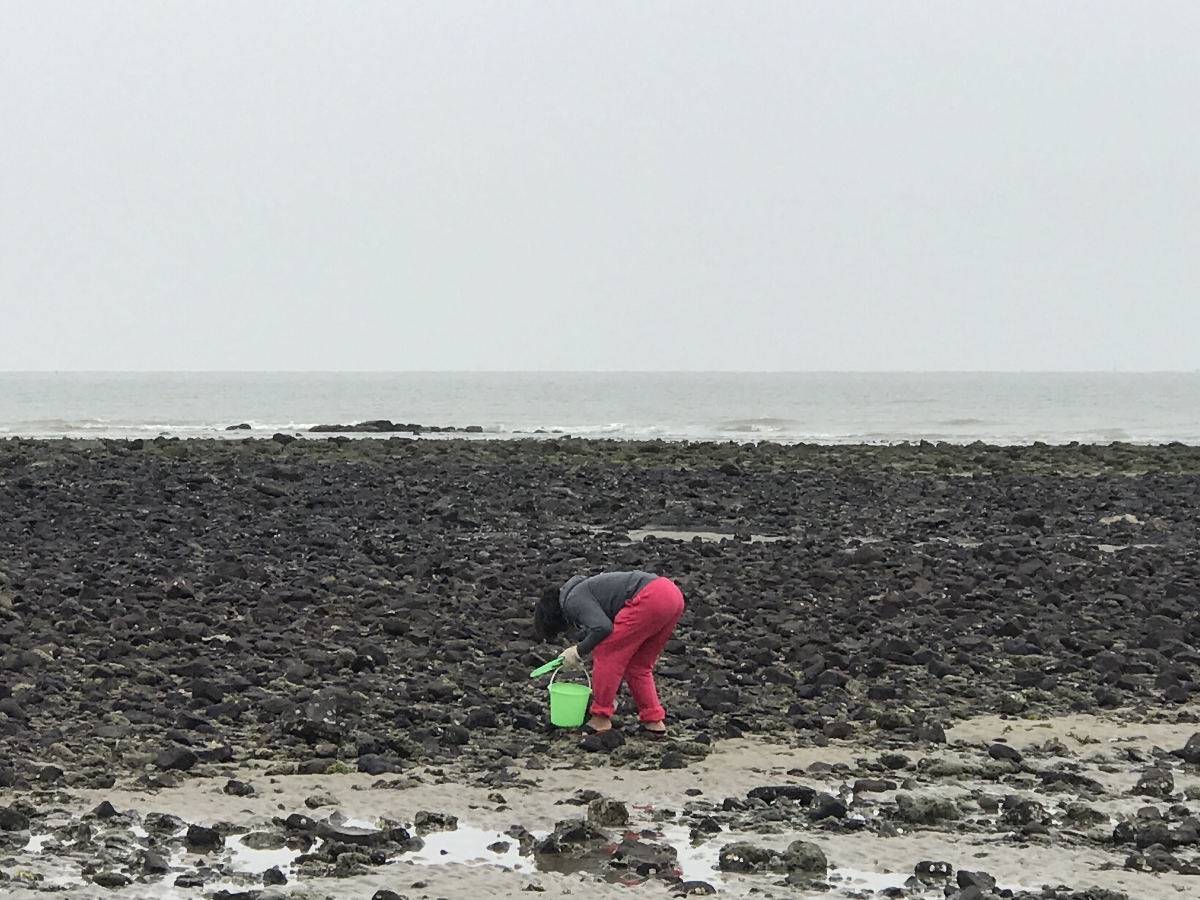 再说房车人是咋算账的；1212房车旅行车的事很担心；赶海
