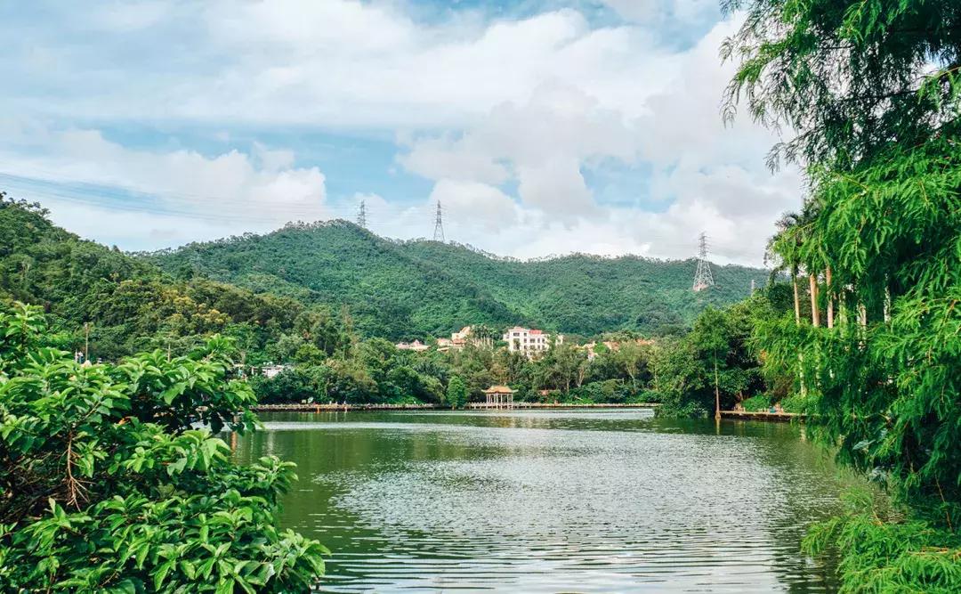 深圳银湖山游玩,深圳银湖有什么好玩的地方