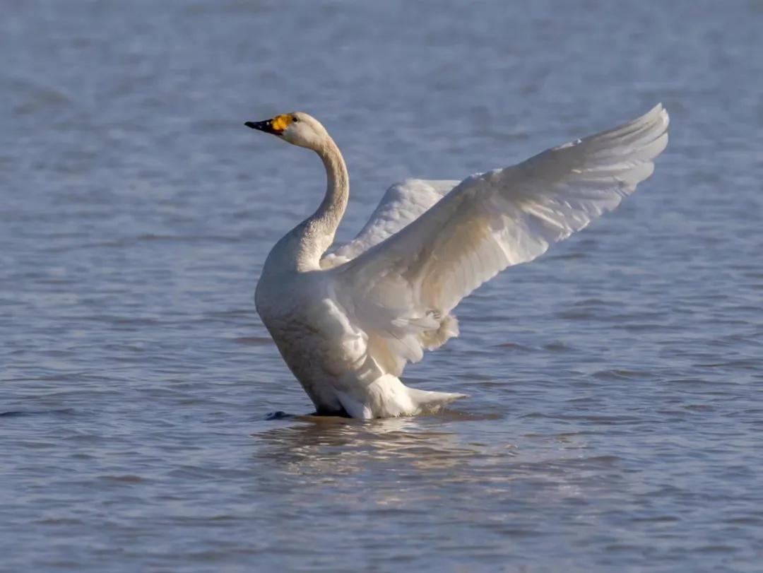 珲春春夏游,五一节珲春旅游