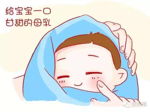 产后修复追奶汤,下奶汤催奶宝有用吗