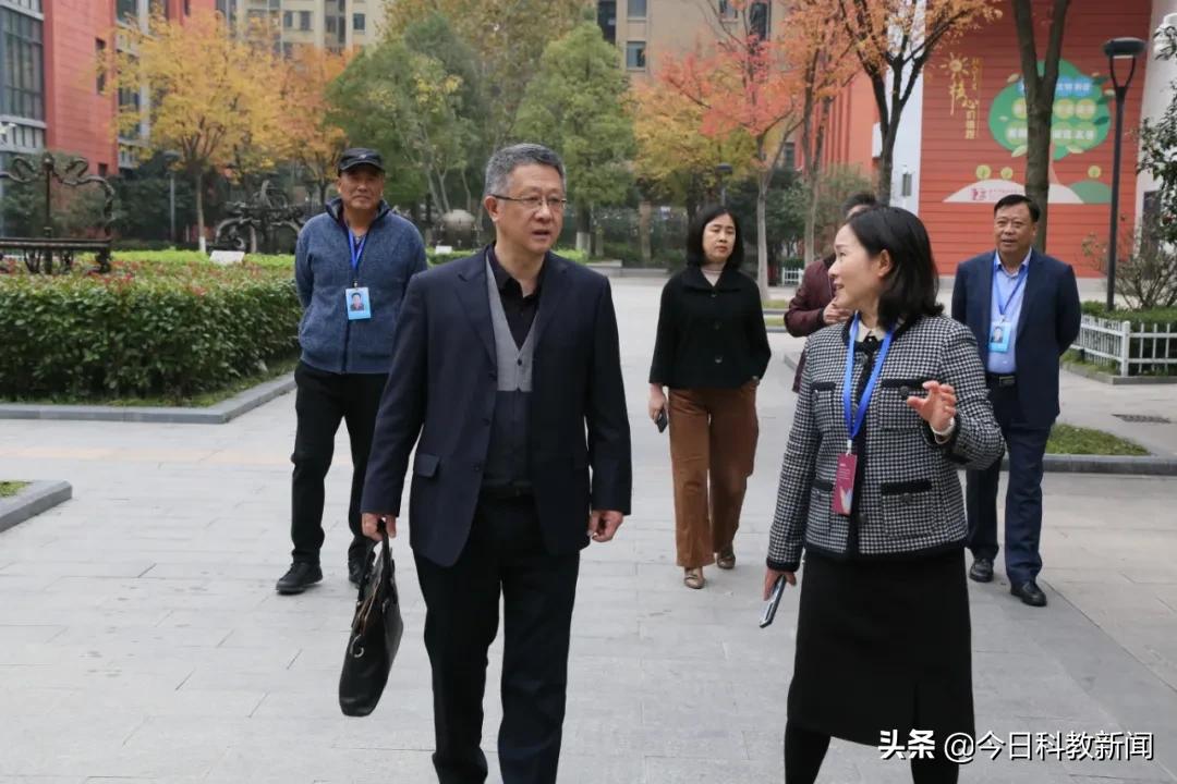 合肥市颐和佳苑小学高刘路校区,合肥颐和佳苑小学视频