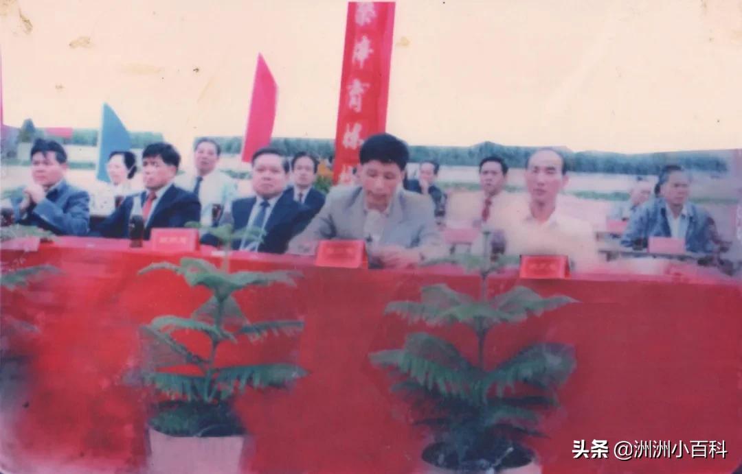 新兴县华侨中学学校介绍,新兴华侨中学历史