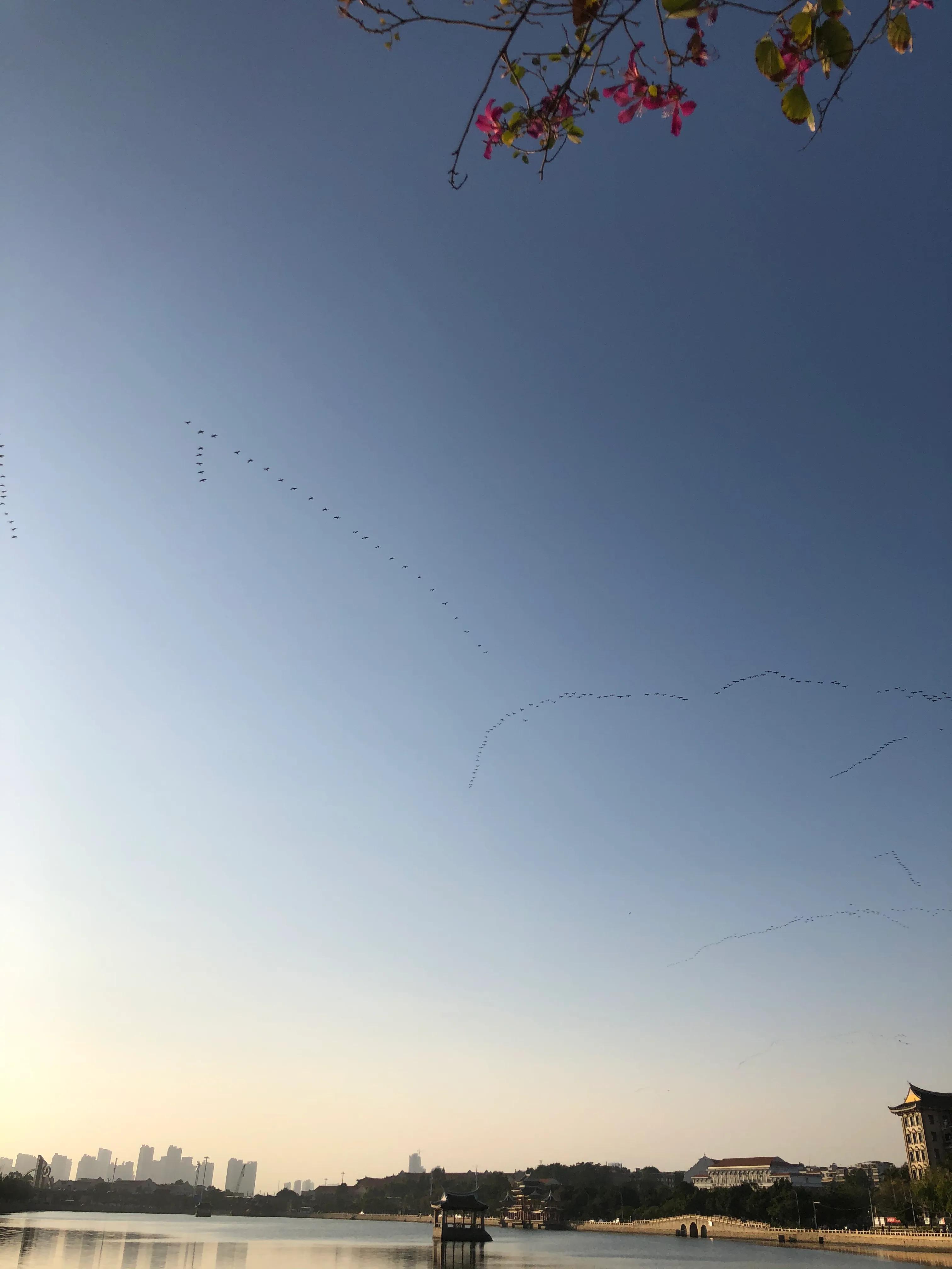 厦门集美学村龙舟池好玩吗,厦门集美学村龙舟池捞鱼