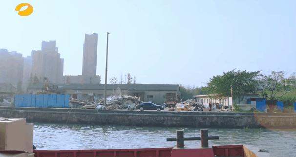 一个比一个廉价，辱智的五毛特效，但凡上点心都做不出这种东西