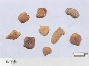 教你怎样辨别真假三七粉,网上买到的假三七粉怎么辨别