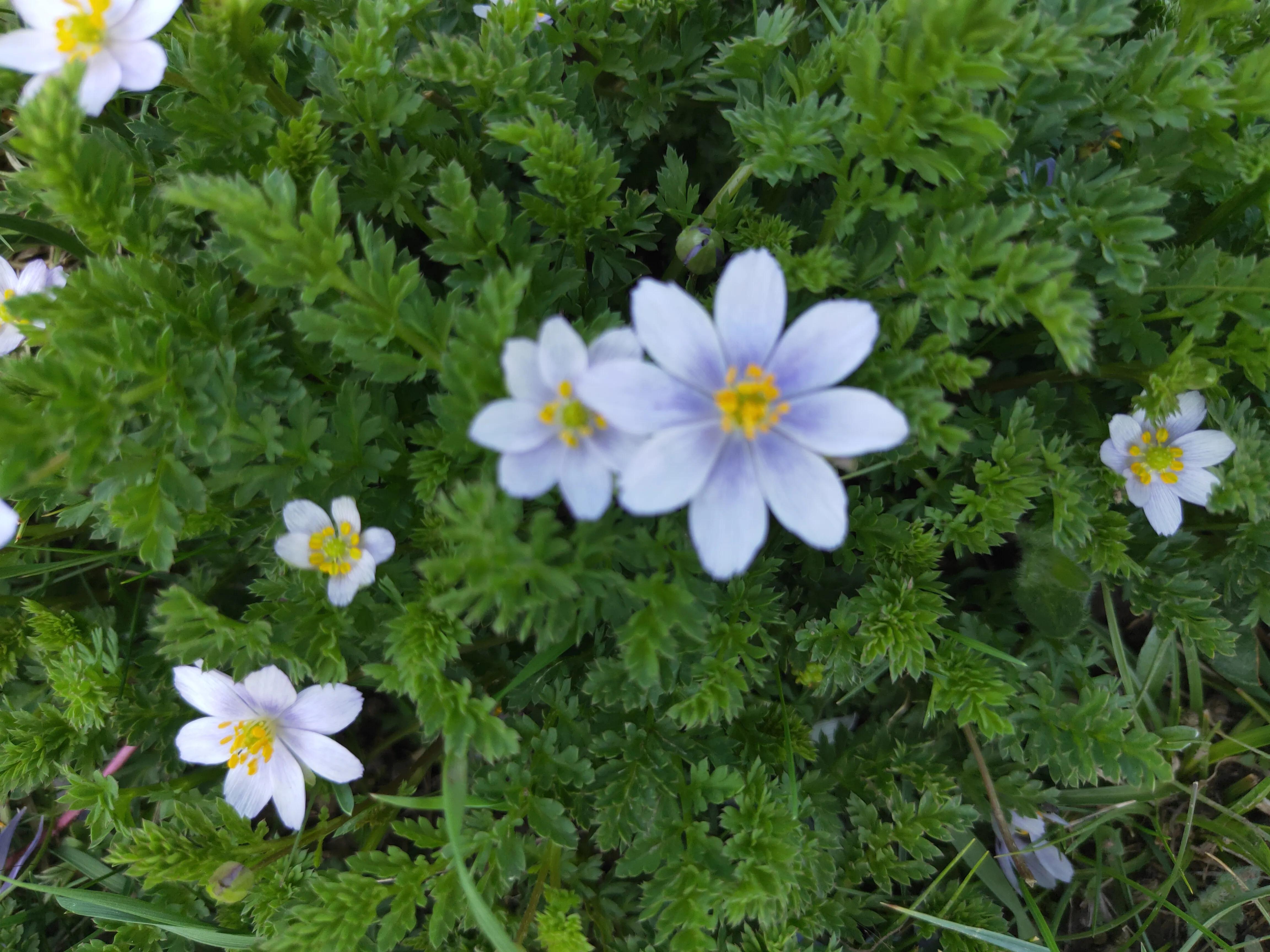 圣藏之旅第四日——思考蜕变之旅的真实意义