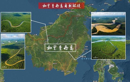 印尼燕窝的秘密是什么,印尼的燕窝是假的吗