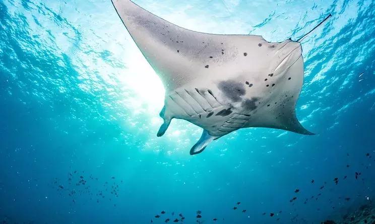 c位出道maria,马尔代夫南丽世岛和北丽世岛