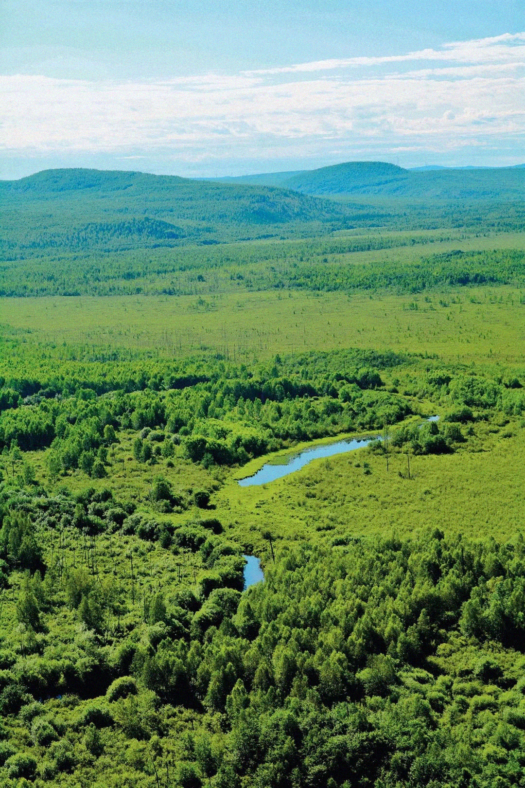 中国大部分区域在北回归线以北,中国的北方有哪些省