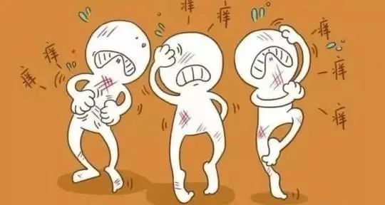 慢性*麻疹荨**（风疙瘩）难以“去根”？