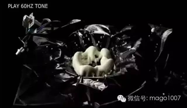 6种水的科学小实验,4个关于水的神奇有趣科学小实验