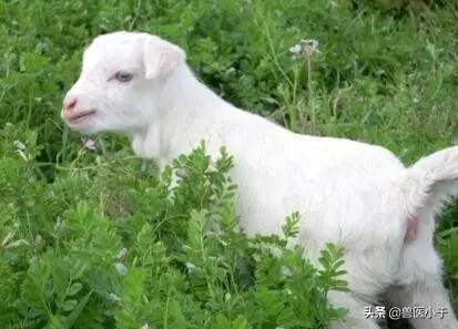 再穷也别碰这四种生意,农村不建议做的三种生意