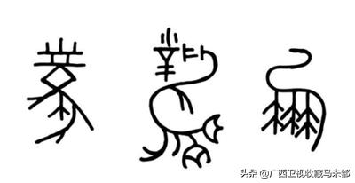 神奇的中文,读一个错一个