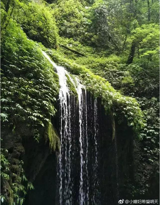 成都坐动车直达这片原始秘境！深幽峡谷、云海奇观、罕见古村…带你逃离夏天！