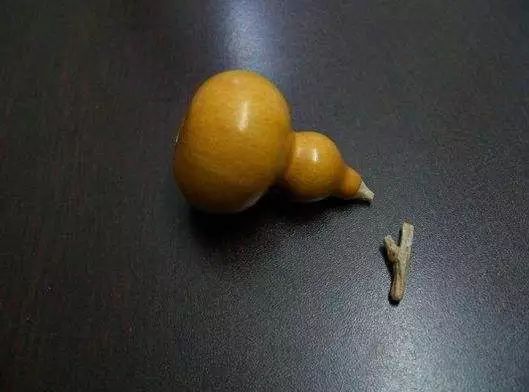 葫芦龙头断了怎么修剪,葫芦龙头怎么去掉