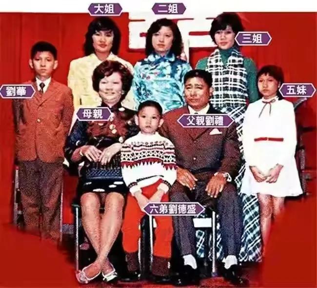 刘德华回乡拜祭祖宗的故事,刘德华回老家认祖归宗争地