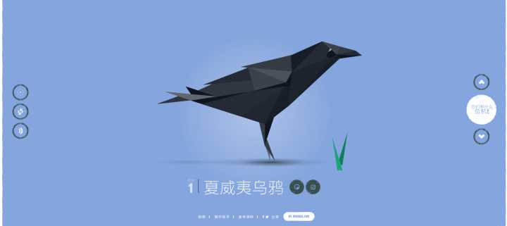 让人震惊的网站,最让你震惊的网站有哪些知乎