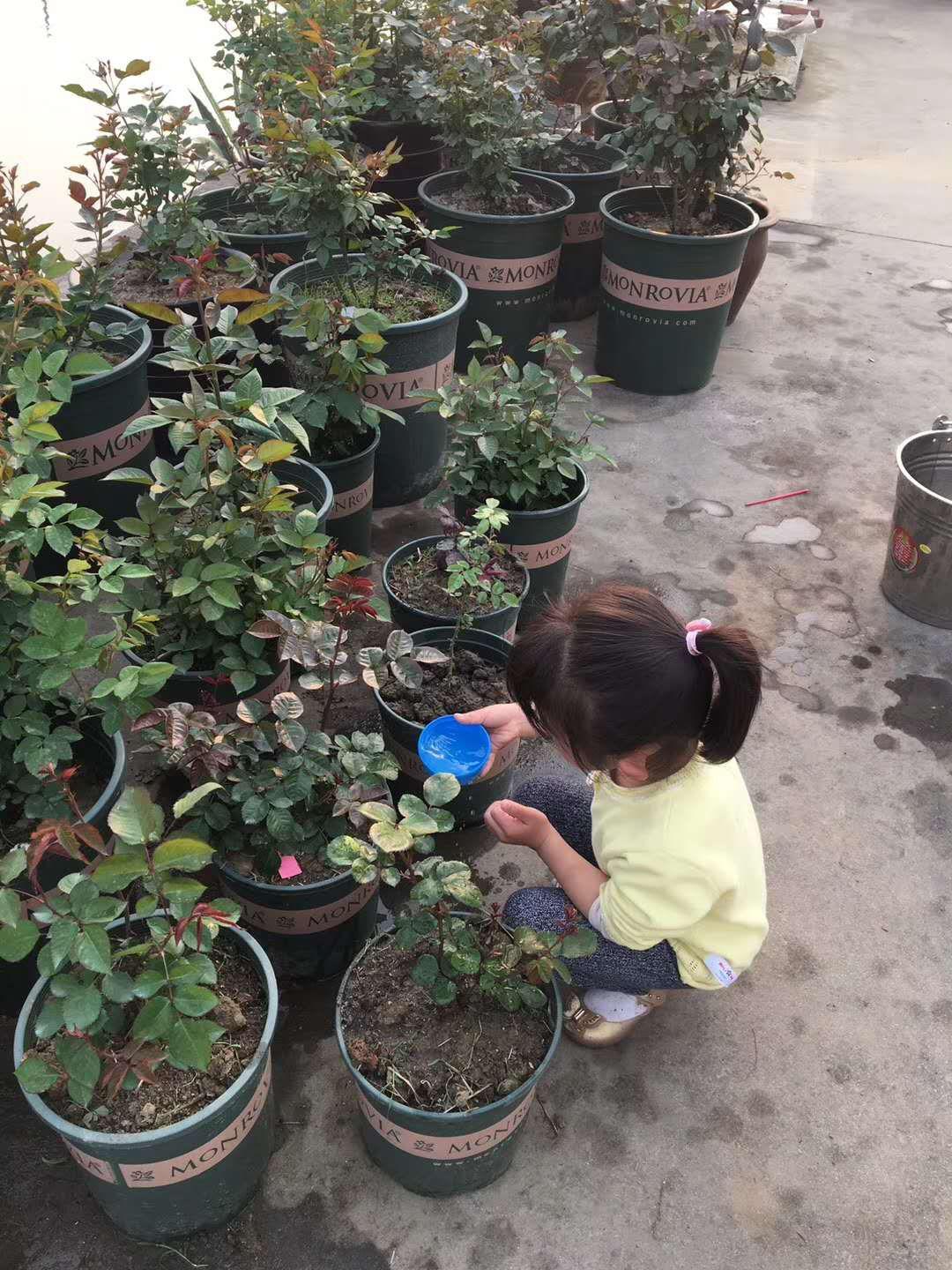 江阴人少景美,江阴有哪些人文景观