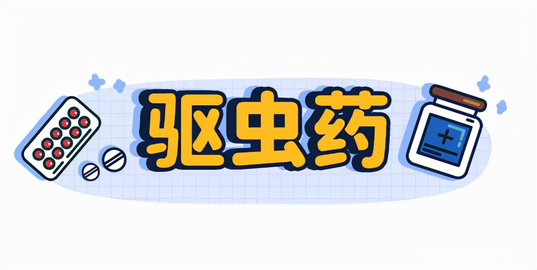 猫狗必备的药,收藏必备药品