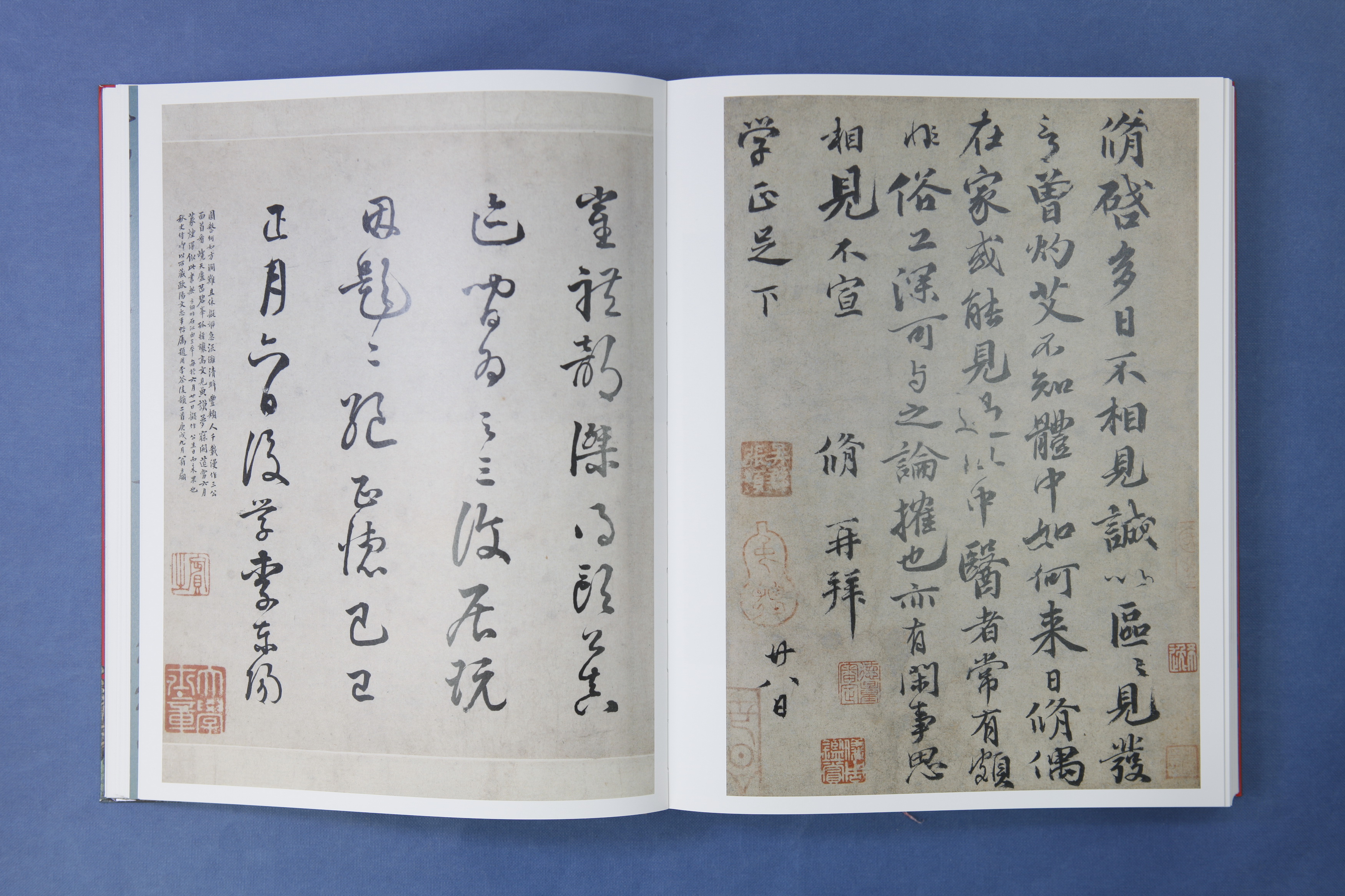 涔︾墿鍘熸枃,涔︾墿