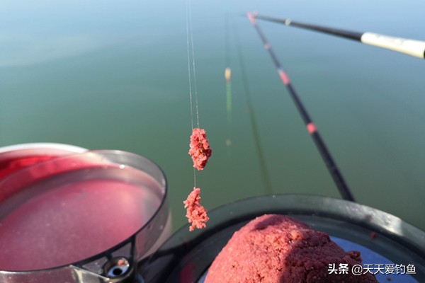 早春钓鱼方法与技巧,春季钓鱼遵循这3点鱼获杠杠的