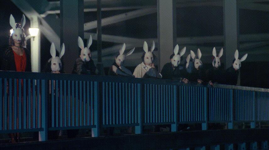 苗侨伟芒果台,4天2000万播放量