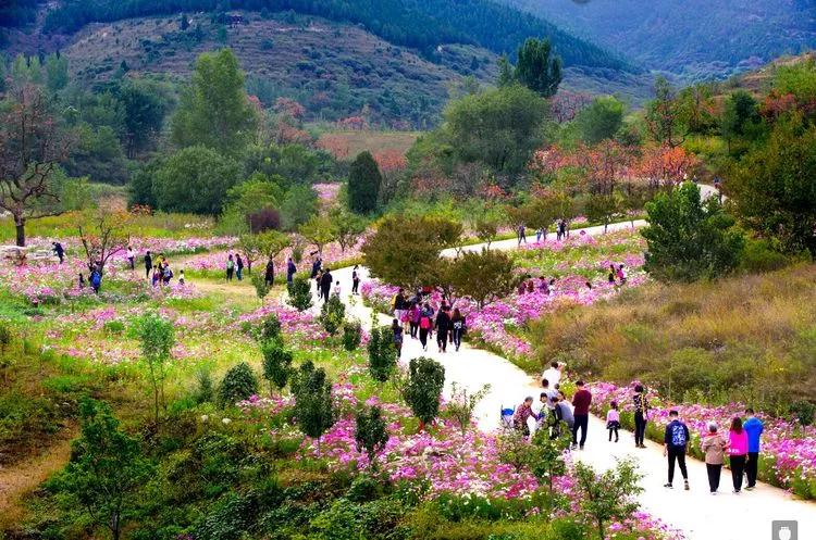 潍坊这5条颜值爆表的自驾线路，藏着美景无数，每一公里都美到极致！