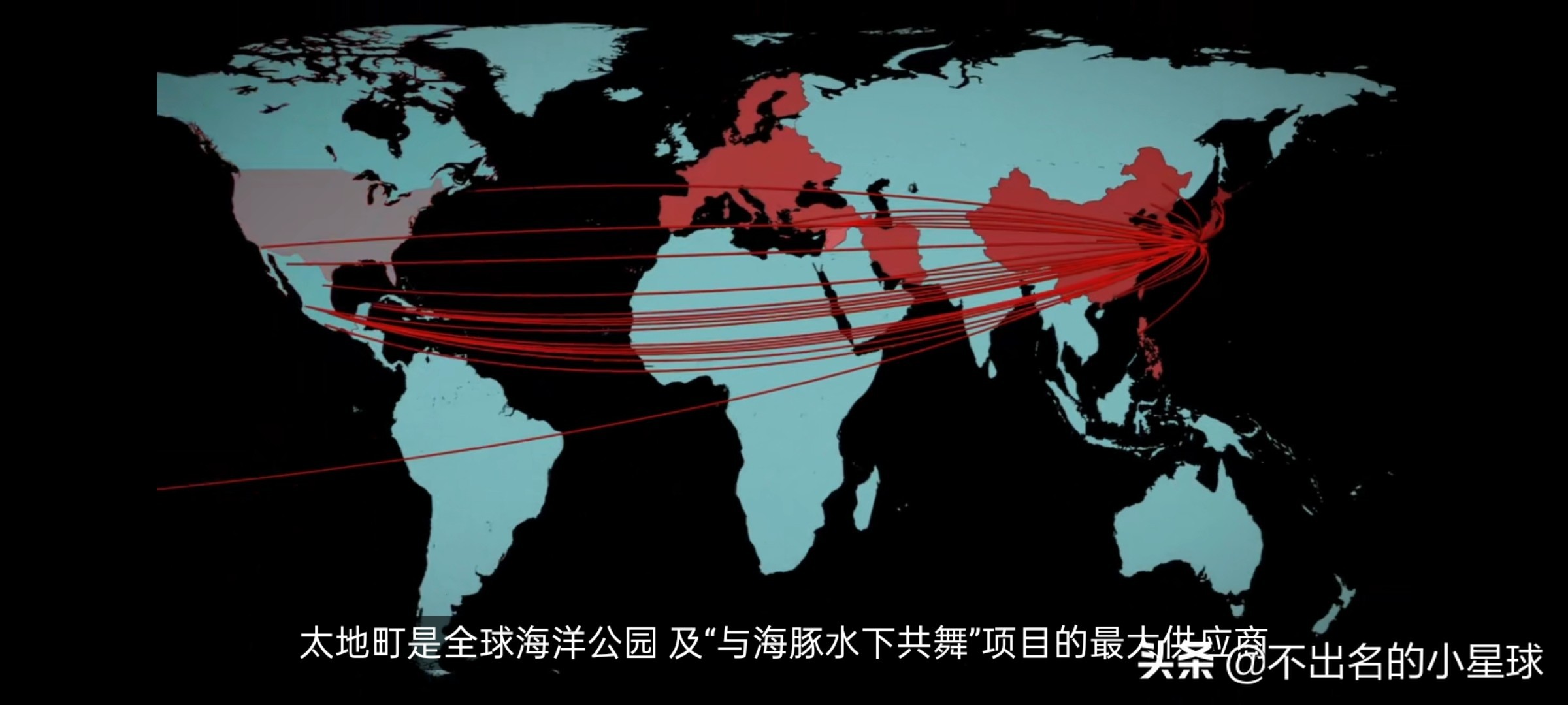 日本海豚湾的恐怖故事,日本海豚湾的恶行是被谁揭开的