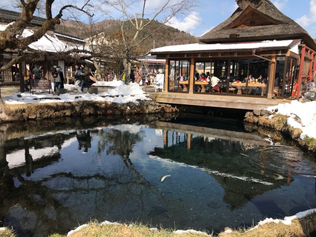 日本东京单人自由行攻略,如何计划日本旅游