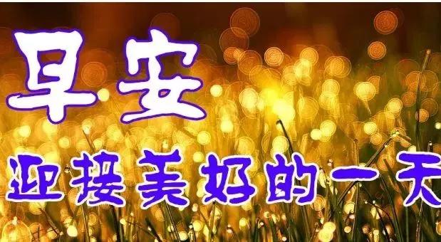 问好表情包｜生活就像一架钢琴：白键是快乐，黑键是悲伤。