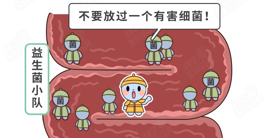 最好不要自行选购益生菌,益生菌别乱吃可诺贝儿羊奶粉