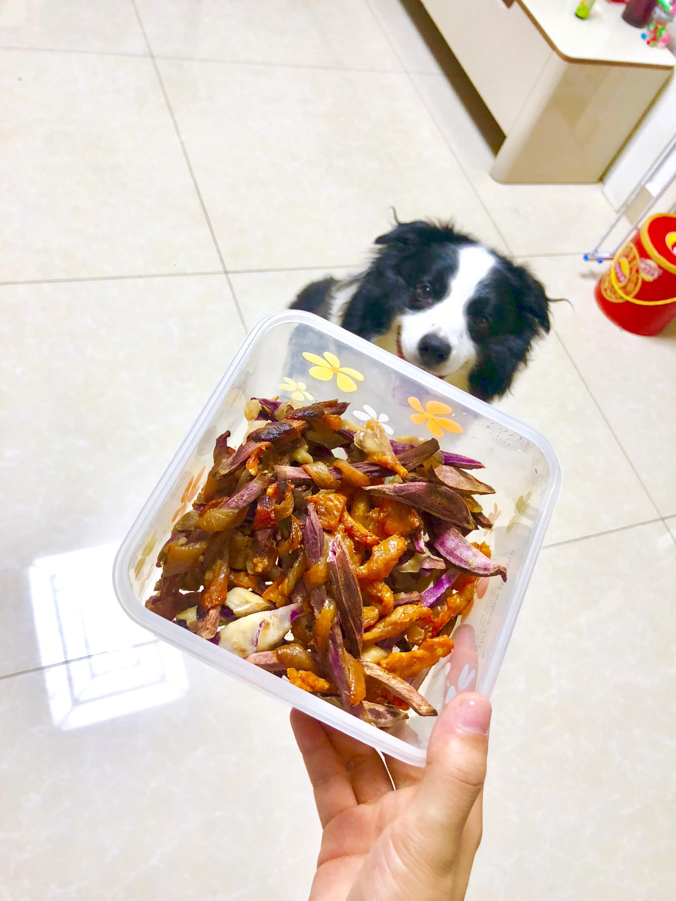 吸引汪星人最有效的方法,如何让你家狗狗不咬你