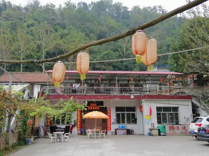 一只美丽的小蝴蝶,一只漂亮的小蝴蝶