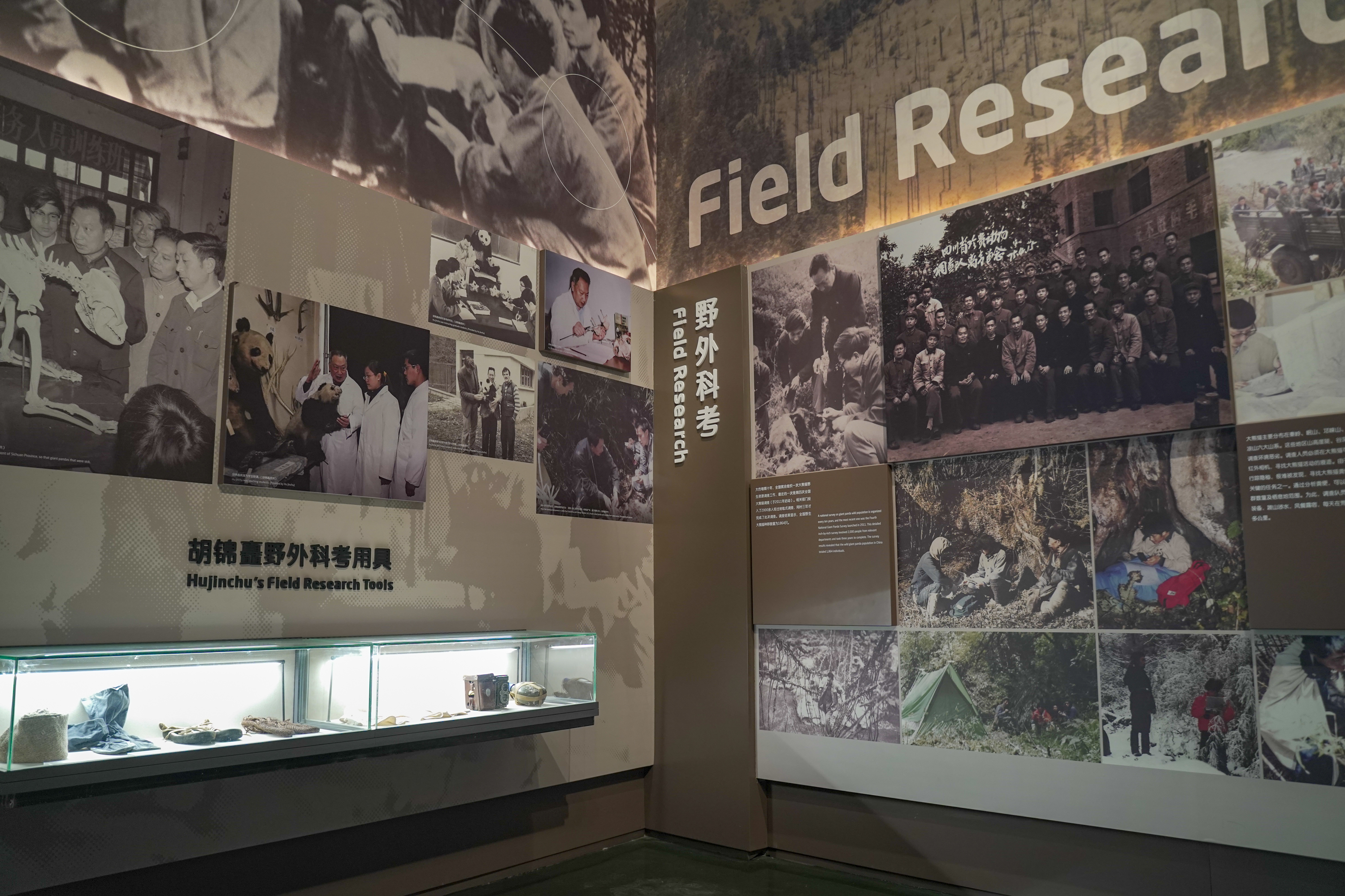 成华区大熊猫基地现在还可以去吗,成华区除了大熊猫还有什么好玩的