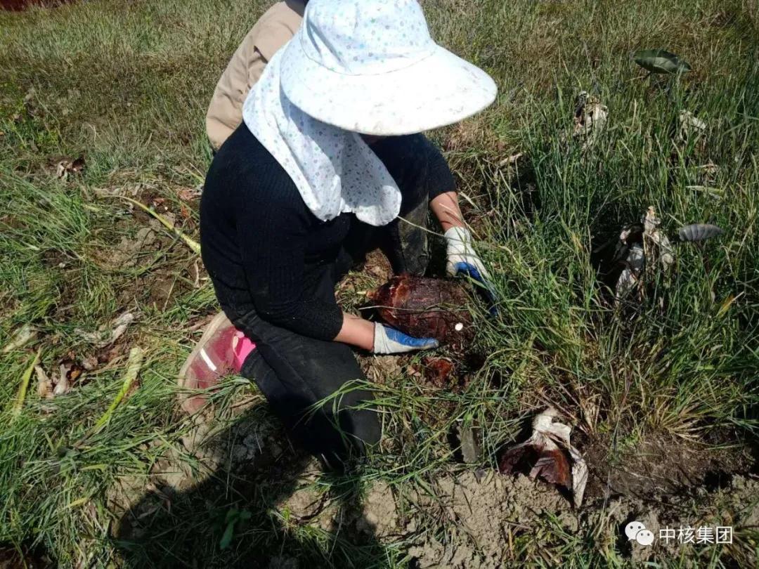 疫情防控快进键,战疫扶贫