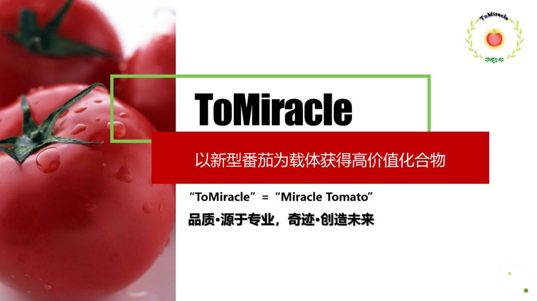 当西红柿遇上烦人的橙子,当番茄遇上西红柿视频