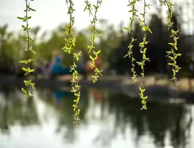 改变老公怎么那么难,改变老公计划