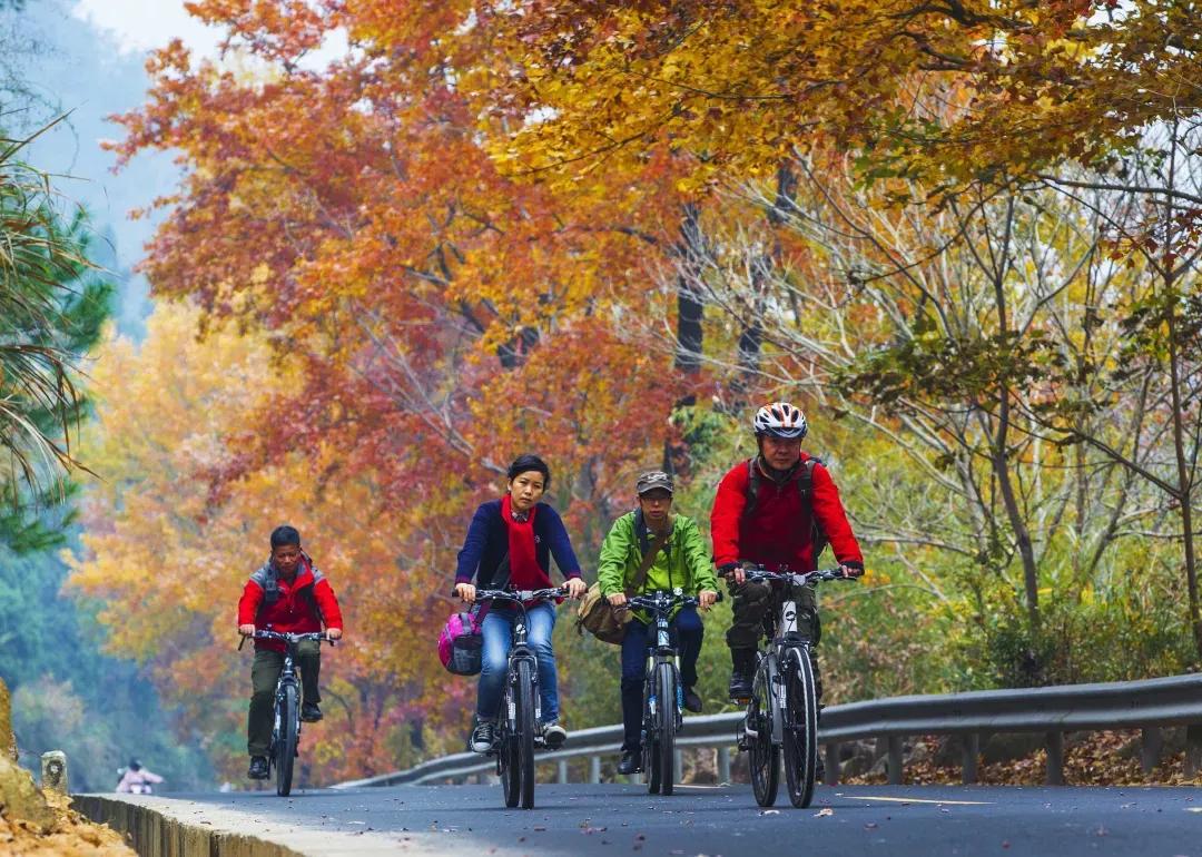 温州值得骑行打卡的地方,温州有哪些骑行的好地方