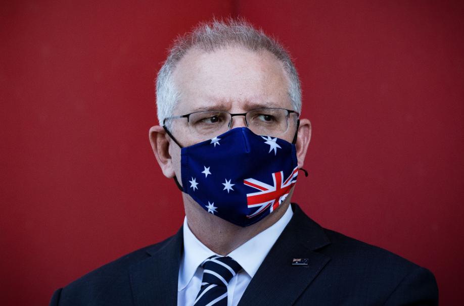 菠萝200元一公斤出口澳洲，蔡当局太荒唐，想让澳洲人交智商税