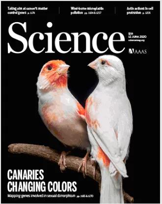 解决了近200年达尔文之问，不同性别的羽毛颜色由这个基因控制