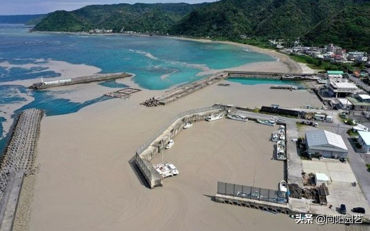 火山浮石日本,日本火山浮石