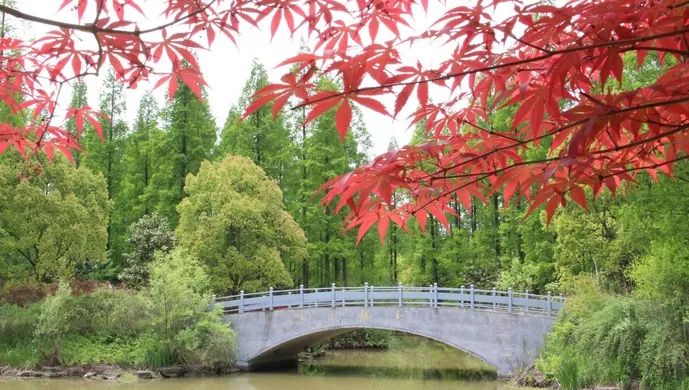 上海厉害了,厉害了上海