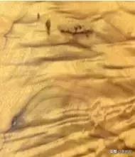 金丝楠木鉴别技巧详解,金丝楠木鉴别方法有哪些