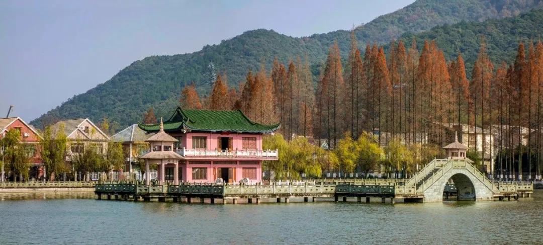 鐙傞浜烘皵鐜扮姸,浜烘皵鐙傞