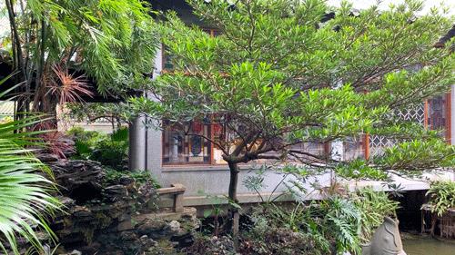 广州最新疫情禁止堂食政策,广州黄埔疫情暂停堂食最新通告