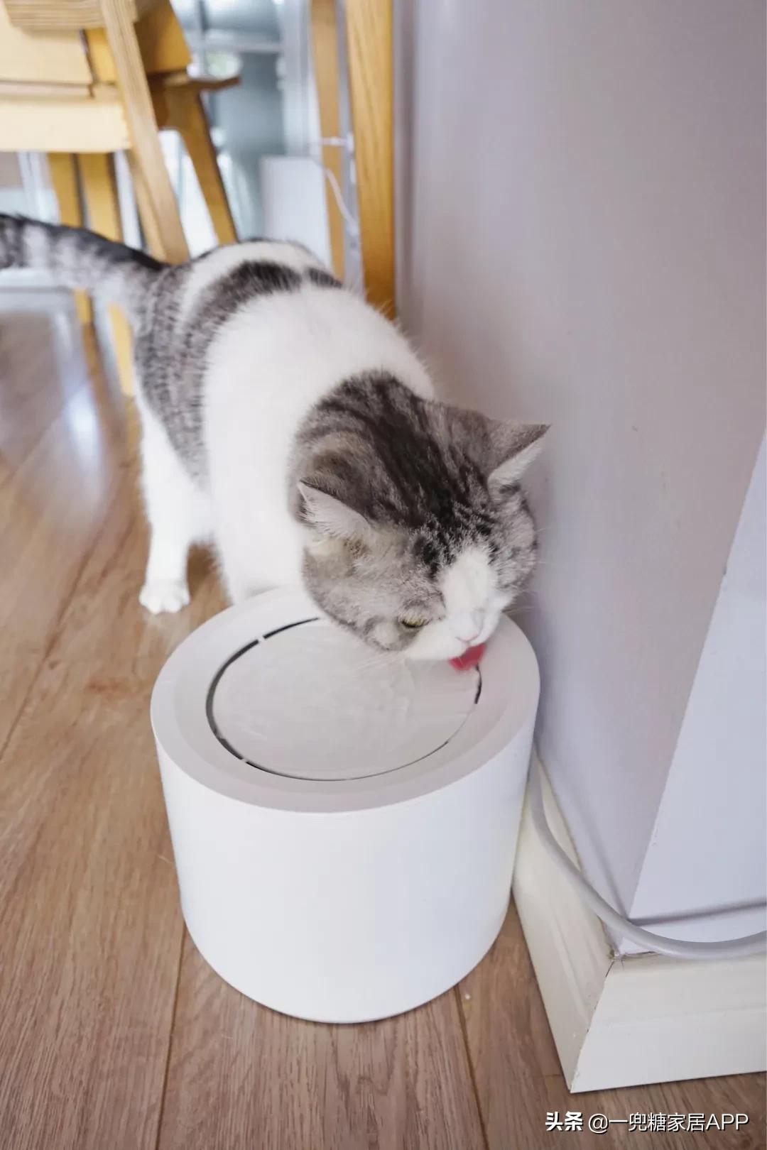 家居必备的100种好物,生活中常见的家居好物推荐