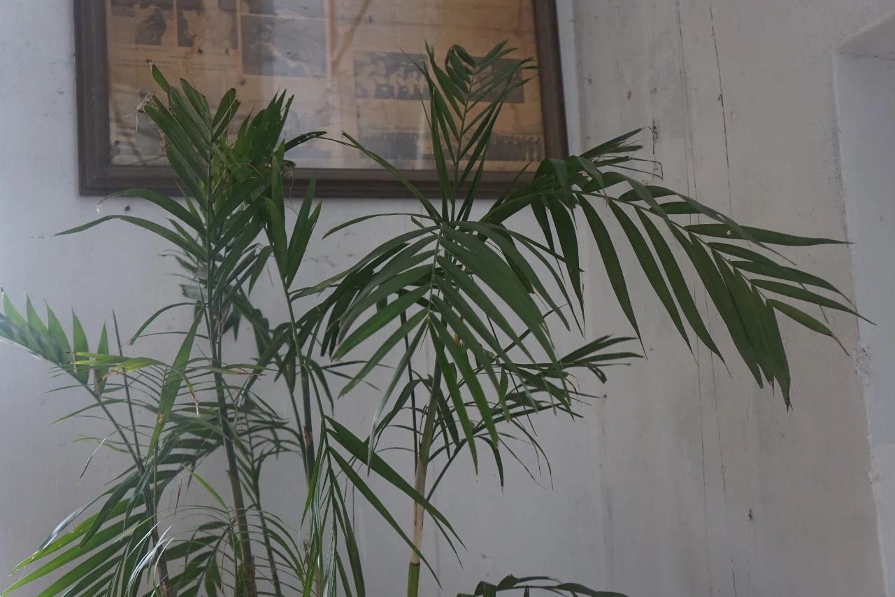 辞职创业开服装工作室,辞职创业开家居店